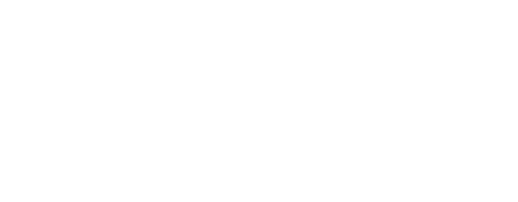 MODUS Development Services